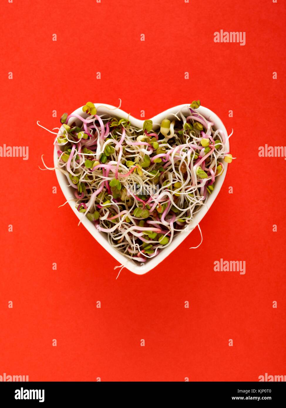 La germogliazione fagioli nel cuore ciotola sagomata su sfondo bianco. Foto Stock