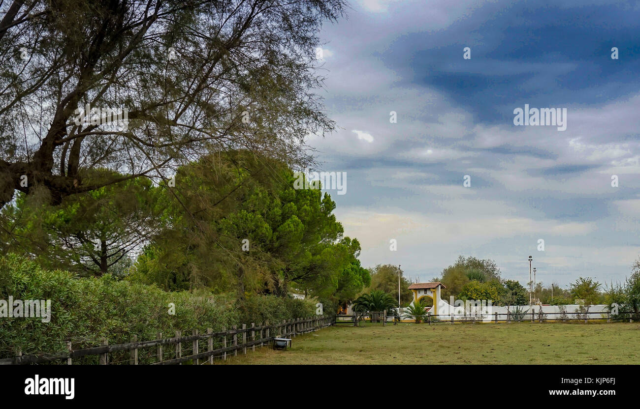 Horse Ranch in Camarche National Park, Francia Foto Stock