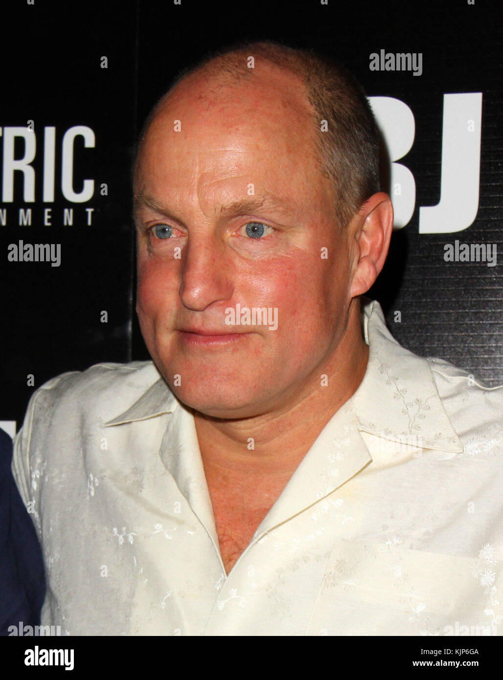 'LBJ' World Premiere tenuto all'ARCLIGHT Hollywood a Los Angeles - Arrivi con: Woody Harrelson dove: Los Angeles, California, Stati Uniti quando: 24 Ott 2017 Credit: Adriana M. Barraza/WENN.com Foto Stock