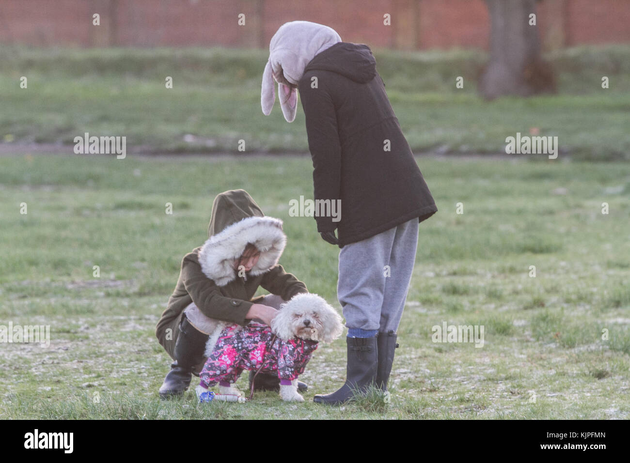 Londra Regno Unito. Il 26 novembre 2017. Le persone godono di una passeggiata mattutina sul coperto di brina in massa di Wimbledon Common come le temperature scendono al di freeezing nel Regno Unito Foto Stock