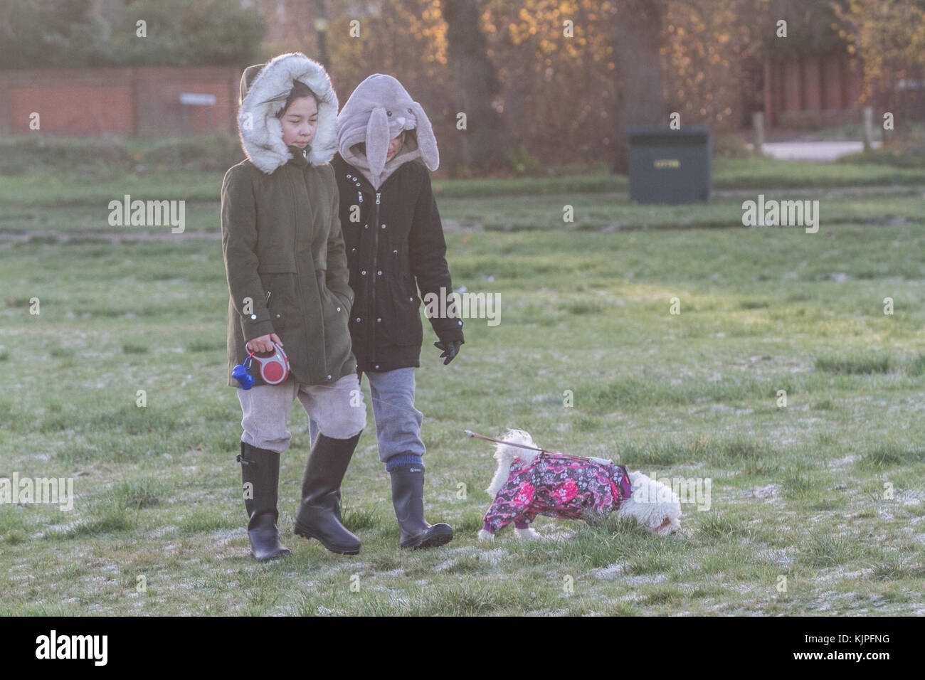 Londra Regno Unito. Il 26 novembre 2017. Le persone godono di una passeggiata mattutina sul coperto di brina in massa di Wimbledon Common come le temperature scendono al di freeezing nel Regno Unito Foto Stock