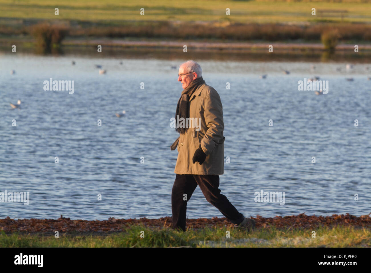 Londra Regno Unito. Il 26 novembre 2017. Le persone godono di una passeggiata mattutina sul coperto di brina in massa di Wimbledon Common come le temperature scendono al di freeezing nel Regno Unito Foto Stock