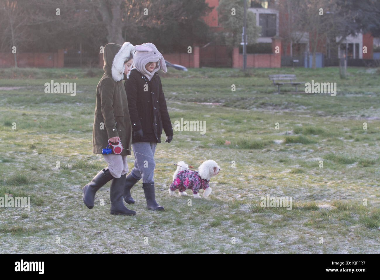 Londra Regno Unito. Il 26 novembre 2017. Le persone godono di una passeggiata mattutina sul coperto di brina in massa di Wimbledon Common come le temperature scendono al di freeezing nel Regno Unito Foto Stock