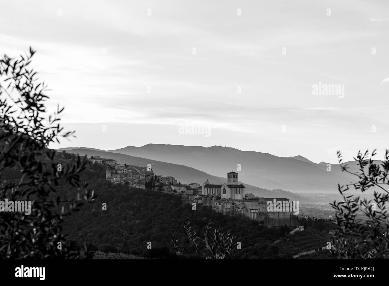 Bella e insolita vista di Assisi (Umbria) all'alba, con alcuni fuori fuoco olivi incorniciare l'immagine Foto Stock