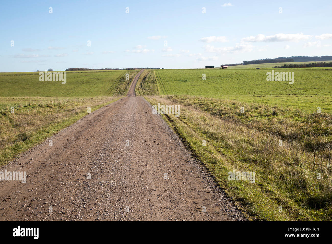 Strada sterrata road chalk upland paesaggio vicino Everleigh, Salisbury Plain, Wiltshire, Inghilterra, Regno Unito Foto Stock