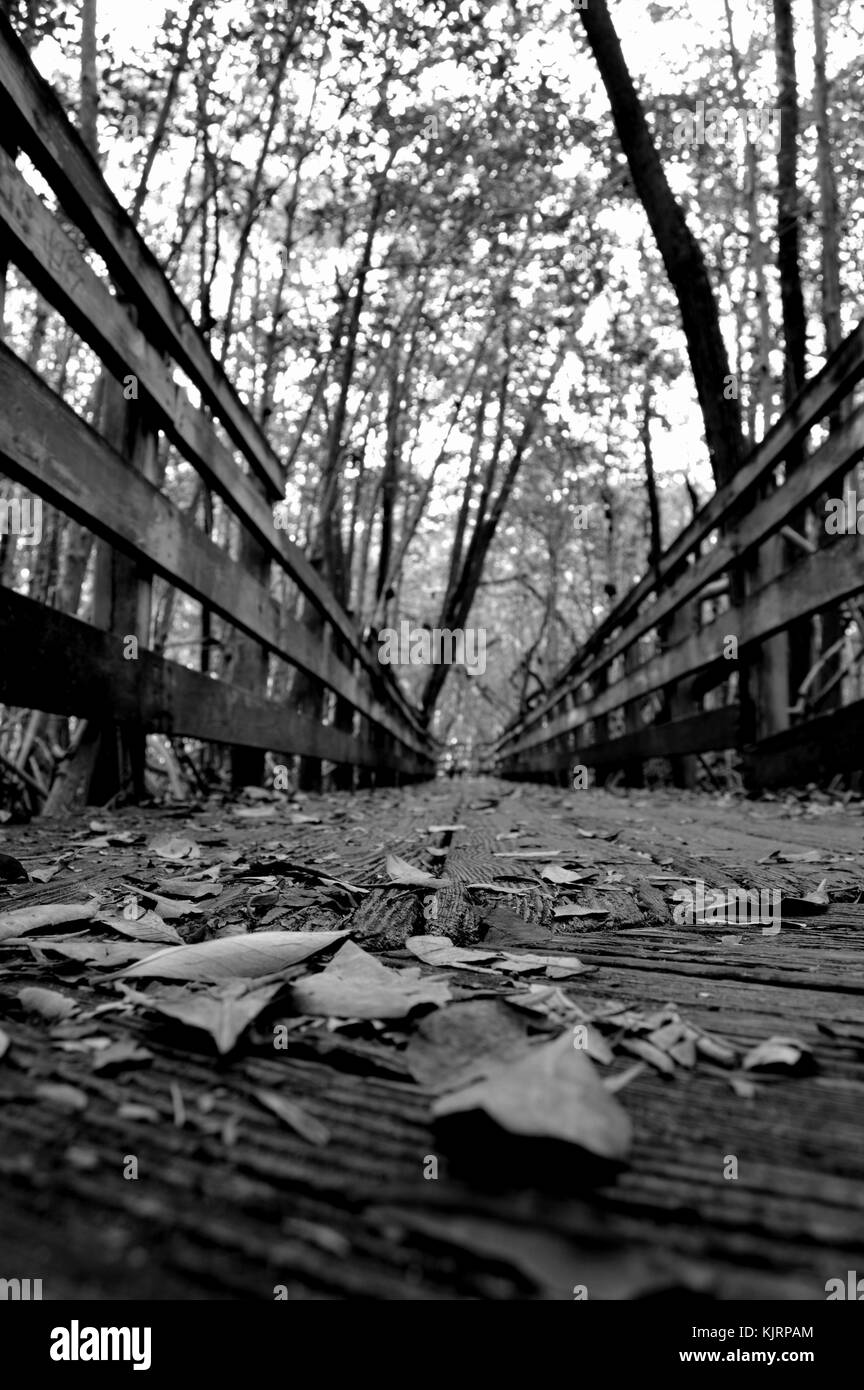 Verde su verde Foto Stock