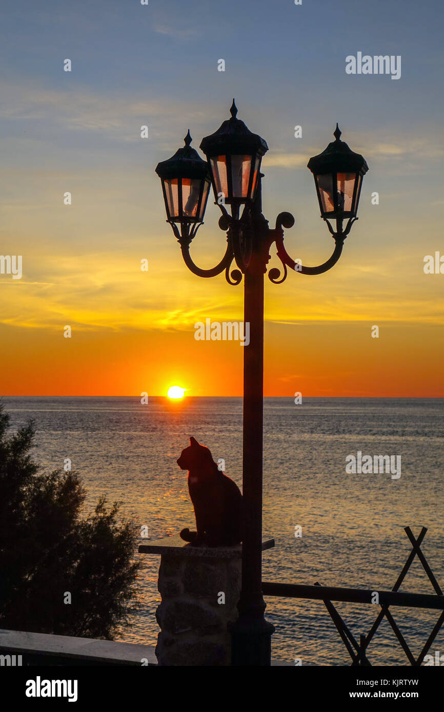 Gatto nero stagliano contro il sole di setting, Kalymnos, Grecia Foto Stock