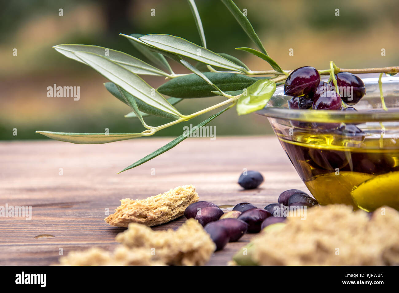 Ciotola con olio extra vergine di oliva, olive, un nuovo ramo di olivo e cretan rusk dakos vicino sul tavolo di legno e di Creta, Grecia. Foto Stock