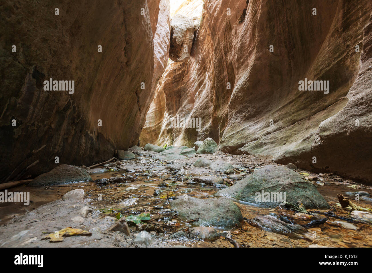 Avakas gorge. distretto di Paphos, Cipro Foto Stock