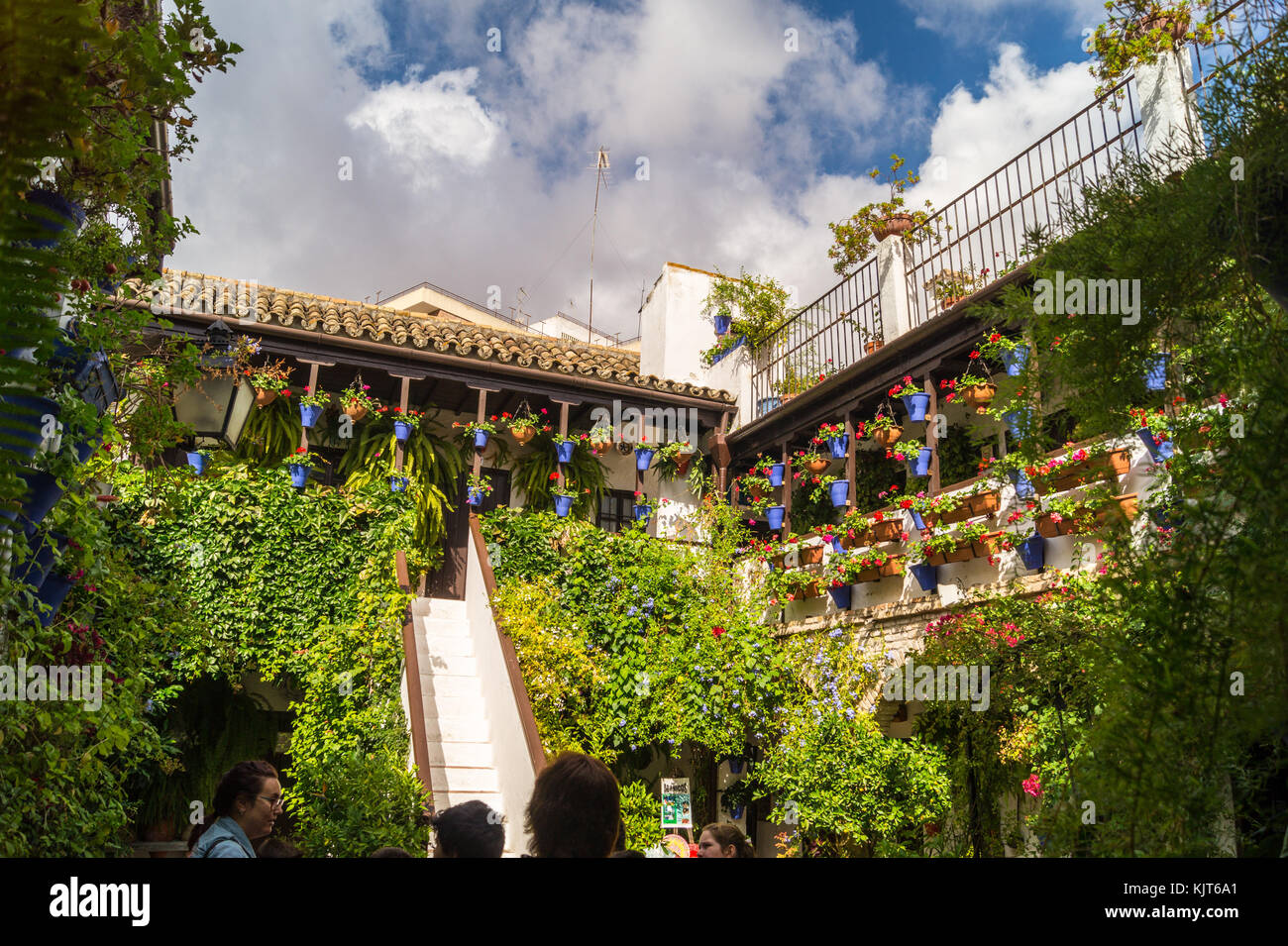 Patio, Barrio de San Basilio trimestre, Córdoba, Andalusia, Spagna Foto Stock