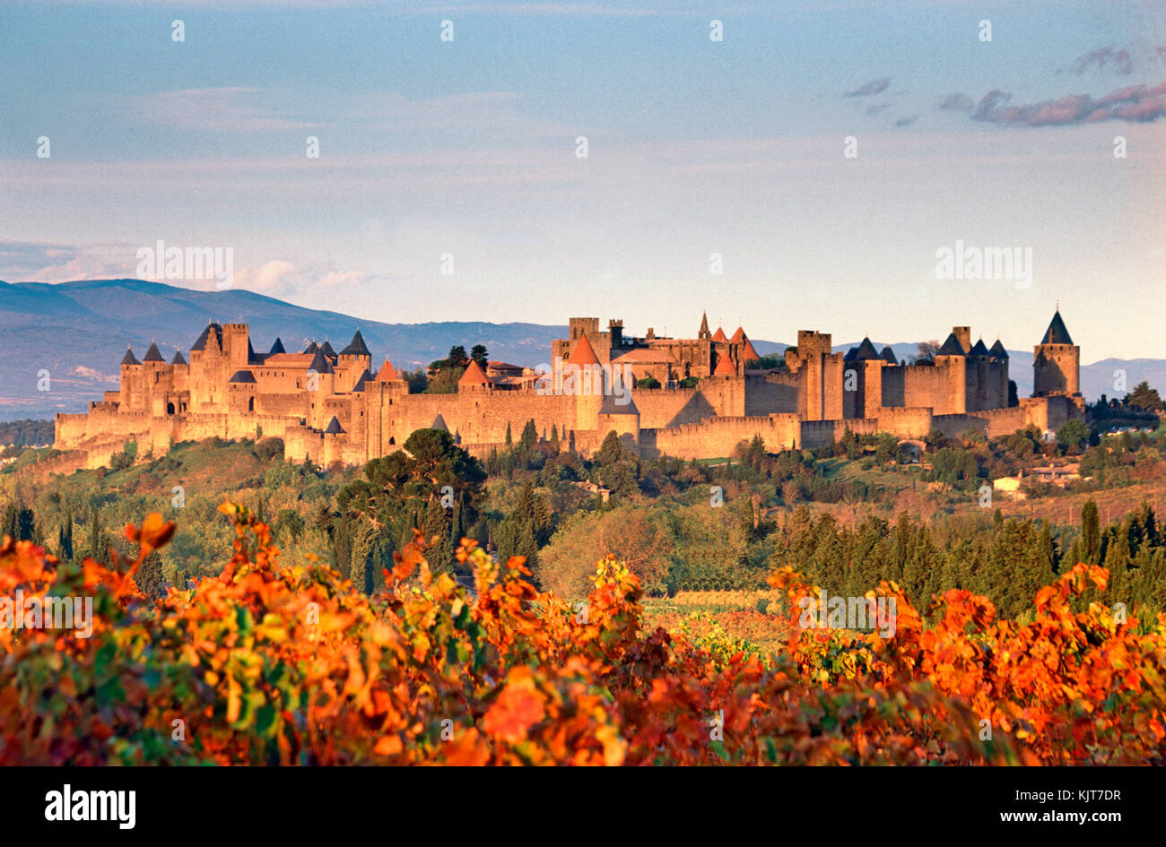 La cite , Carcassonne, Languedoc-Roussion, Francia Foto Stock