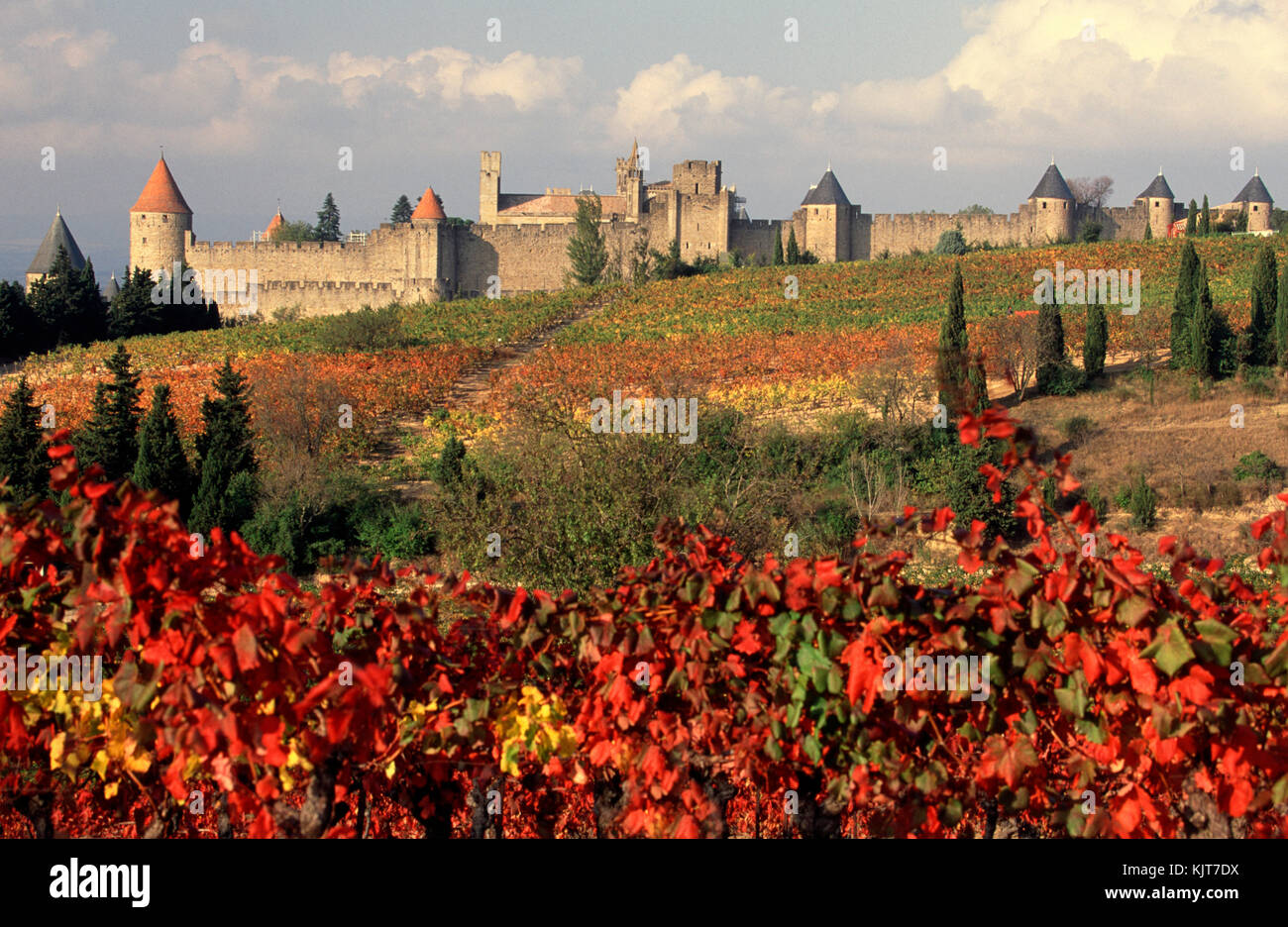 La cite , Carcassonne, Languedoc-Roussion, Francia Foto Stock