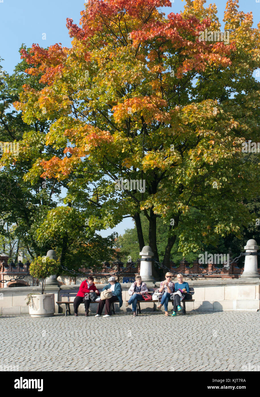 Il gruppo di donne parlare di seduta su una panchina nel parco sotto alberi nel loro colori autunnali presso l'ingresso al monastero di Jesna Gora a Czestochowa Foto Stock