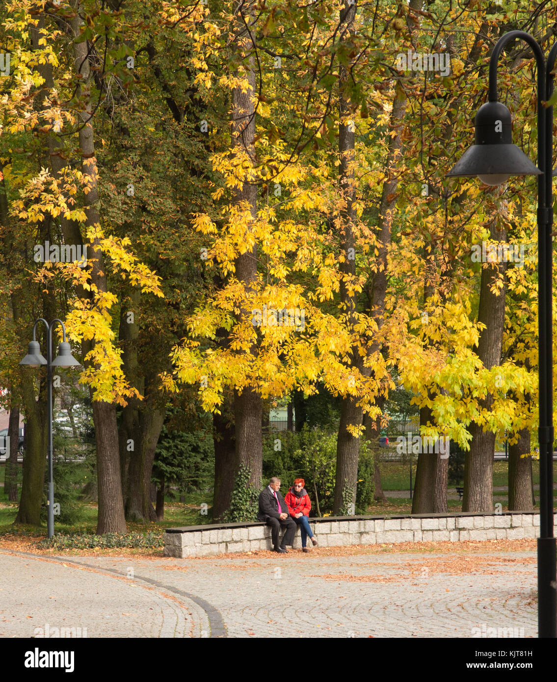 L uomo e la donna seduta su un basso muro nella città di parco e bosco in autunno con gli alberi che mostra i colori autunnali Foto Stock