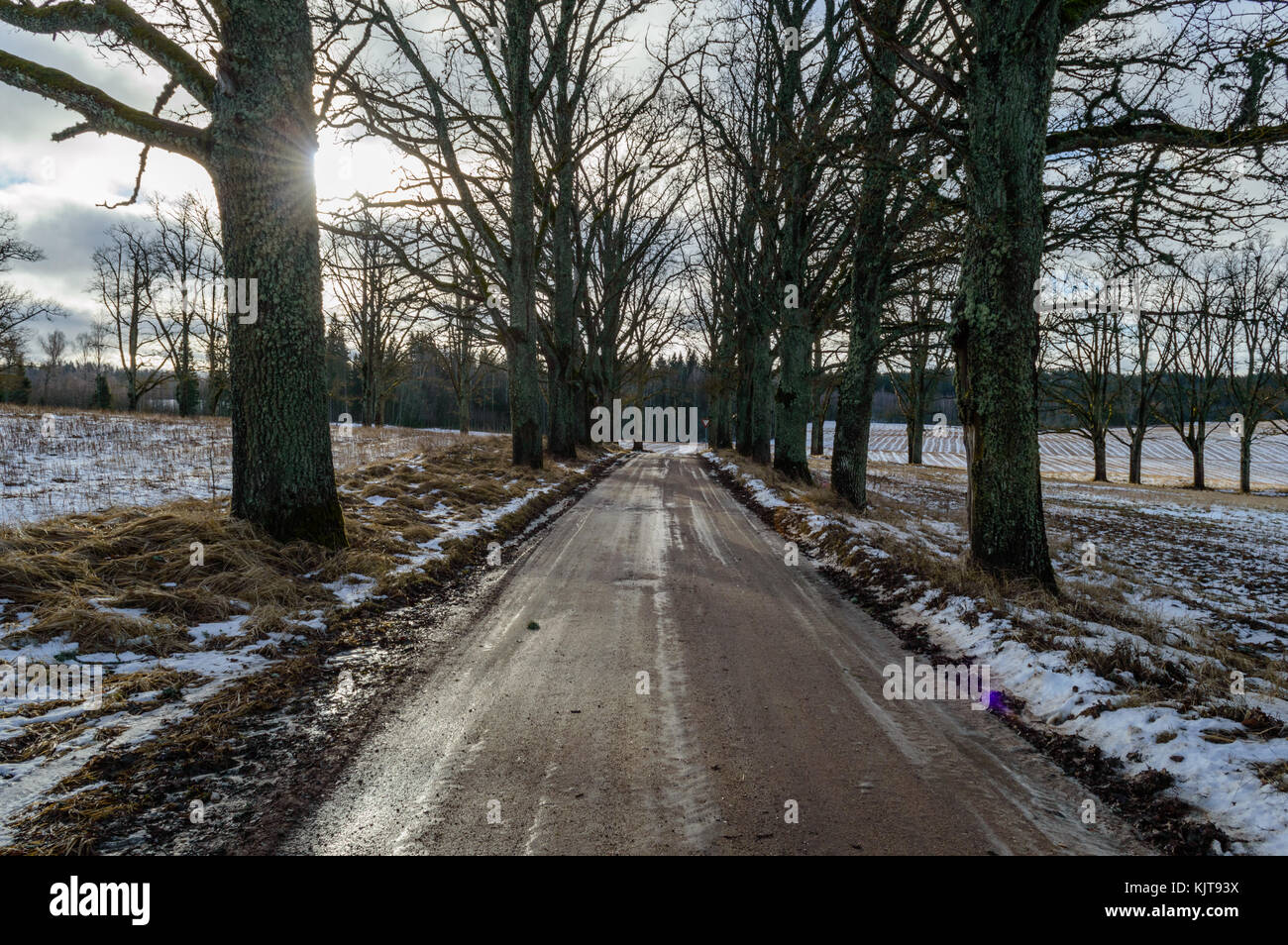 Paese strada in inverno con tracce di pneumatici nella neve e nel ghiaccio Foto Stock