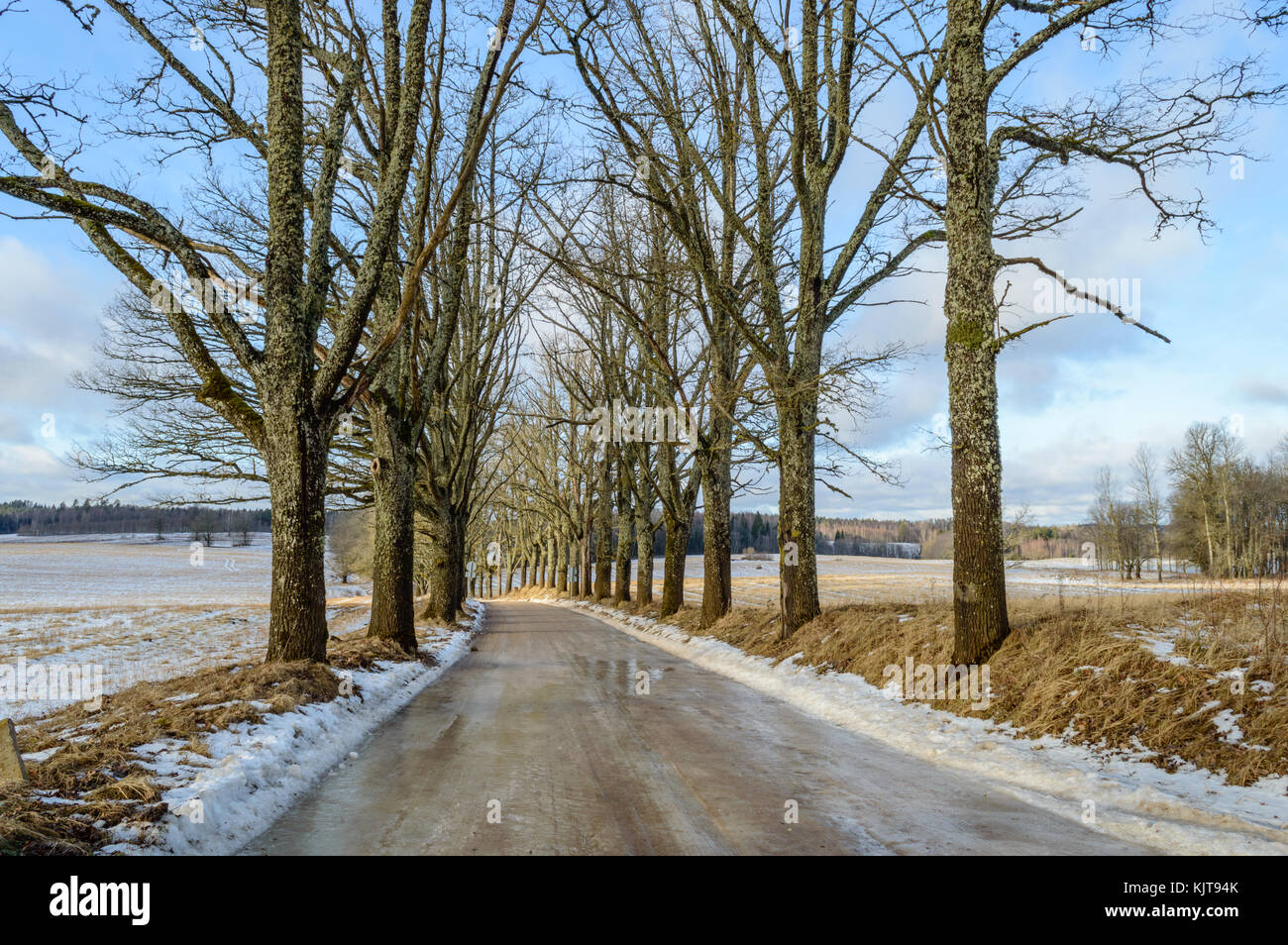 Paese strada in inverno con tracce di pneumatici nella neve e nel ghiaccio Foto Stock