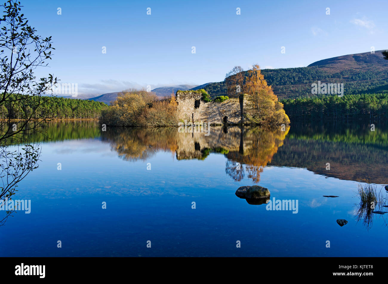 Loch un Eilein, Rothiemurchus, Cairngorms, Highlands scozzesi, UK. Il vecchio rovinato castello isola riflessa nei loch su una splendida e tranquilla giornata d'autunno. Foto Stock