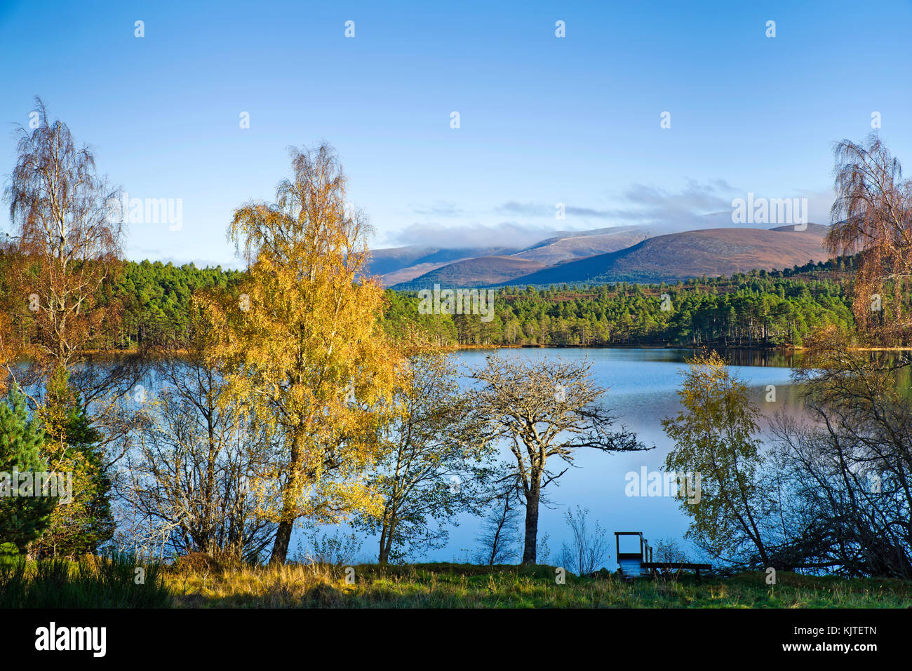 Vista sul Loch un Eilein ai Monti Cairngorm oltre, Rothiemurchus, Highlands scozzesi, soleggiata giornata autunnale, Scozia UK. Foto Stock