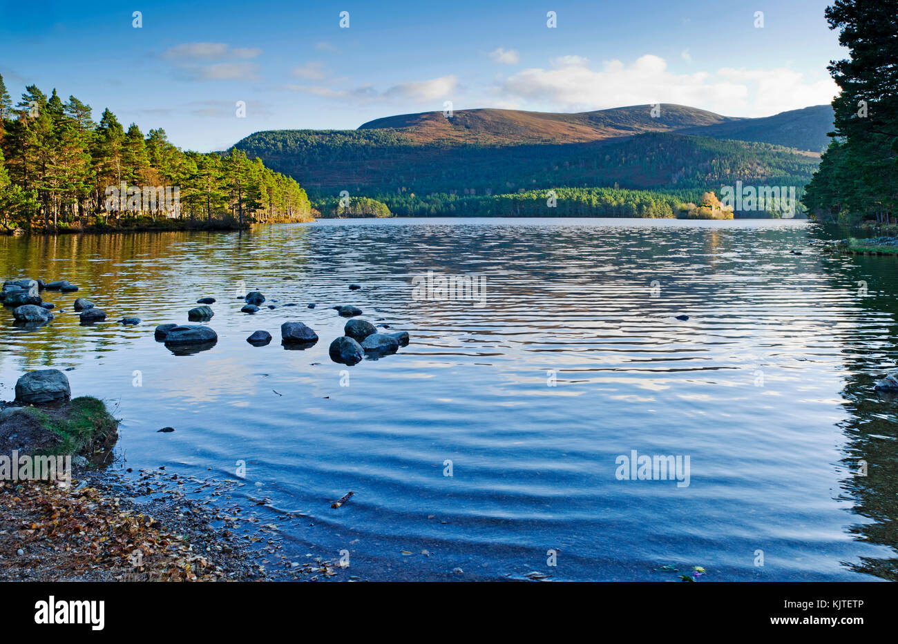Loch un Eilein, Rothiemurchus, Cairngorms, Highlands scozzesi, autunno, l'isola con castello in rovina nella distanza illuminato dalla luce del sole. Foto Stock