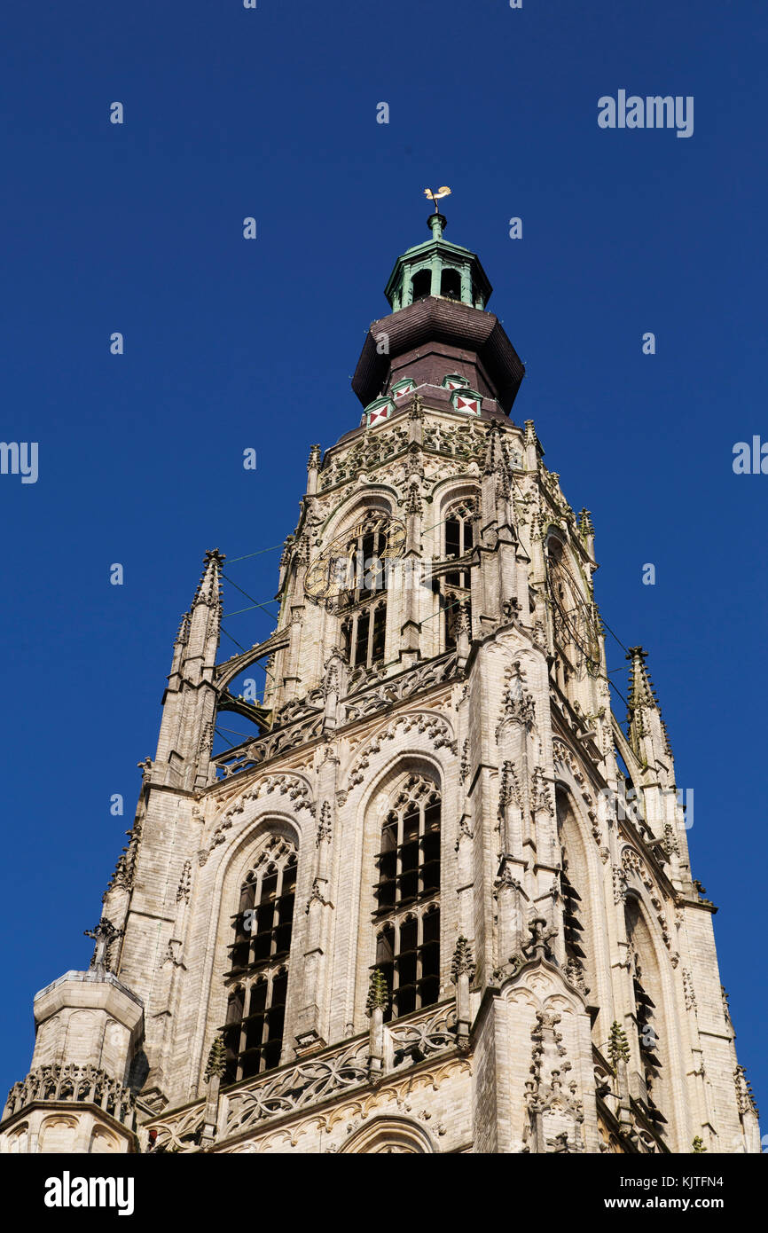 La torre della Chiesa di nostra Signora (Onze lieve Vrouwekerk) a Breda, Paesi Bassi. Foto Stock