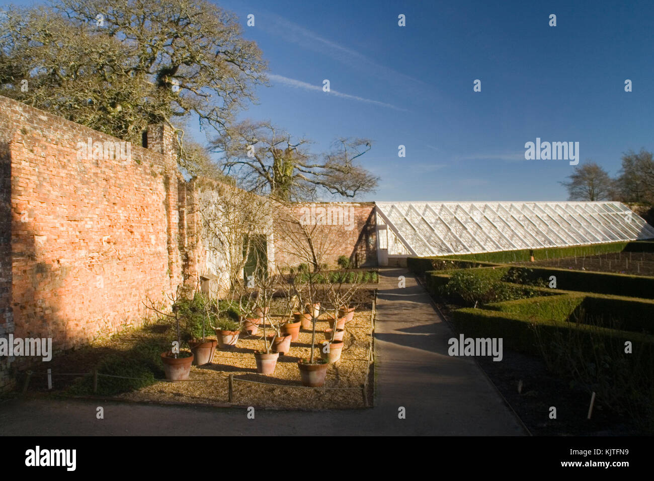 Lost Gardens of Heligan Foto Stock