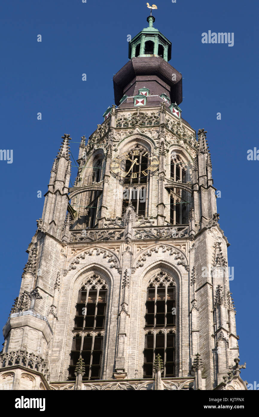 La torre della Chiesa di nostra Signora (Onze lieve Vrouwekerk) a Breda, Paesi Bassi. Foto Stock
