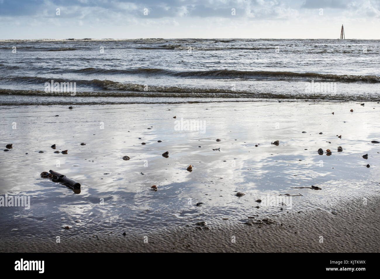 Marea con conchiglie, sky specchiata in acqua Foto Stock