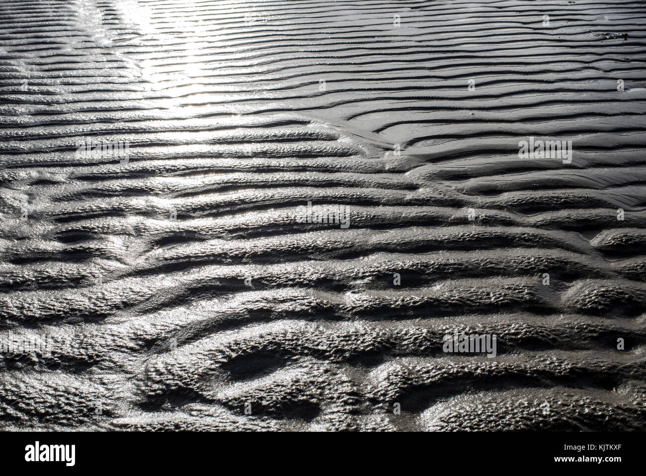 Tide - increspature nella sabbia bagnata, luce diretta Foto Stock