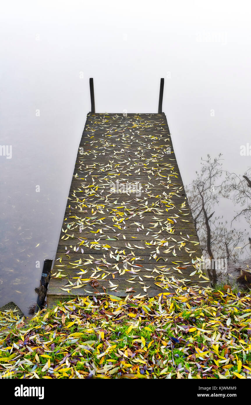 Un ponte in autunno la nebbia e con foglie di autunno Foto Stock