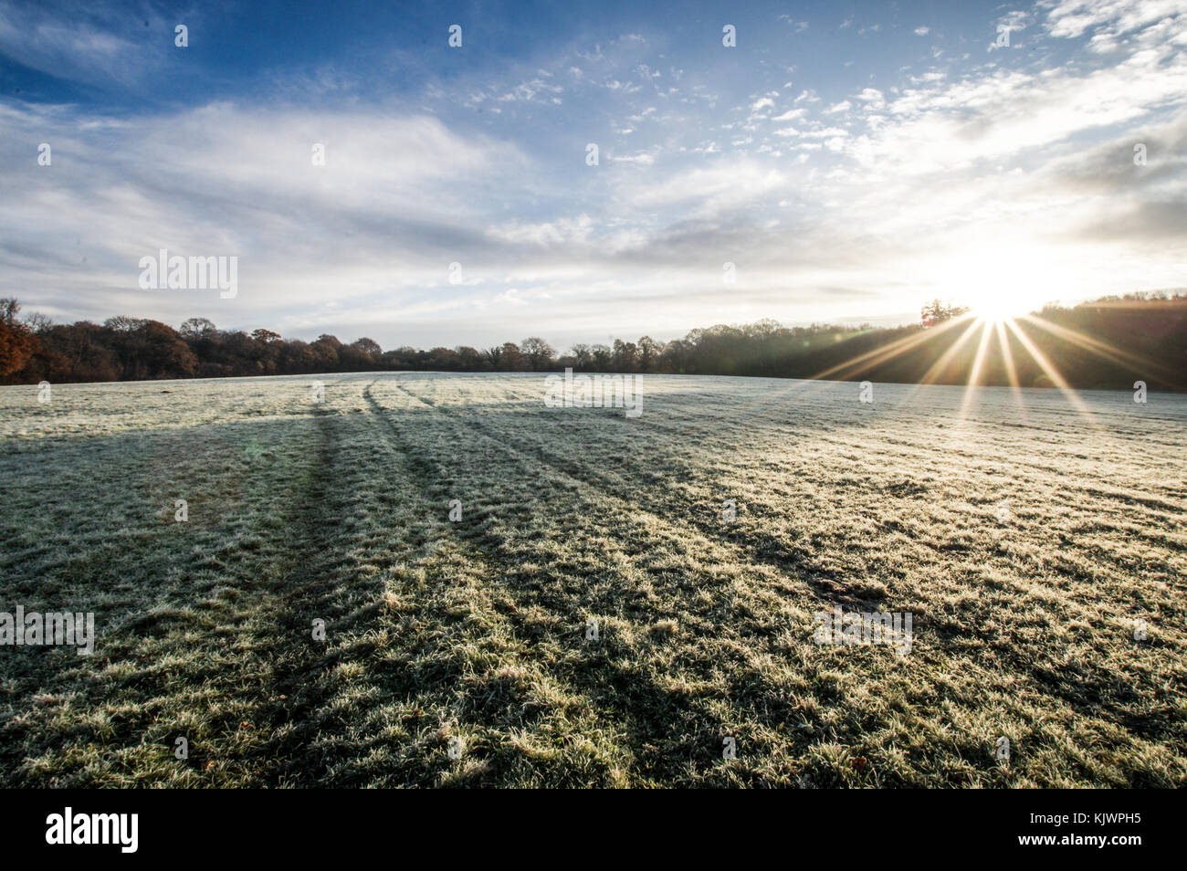 Il sorgere del sole su un gelo coperto campo vicino Bedelands Riserva Naturale - Burgess Hill, West Sussex Foto Stock