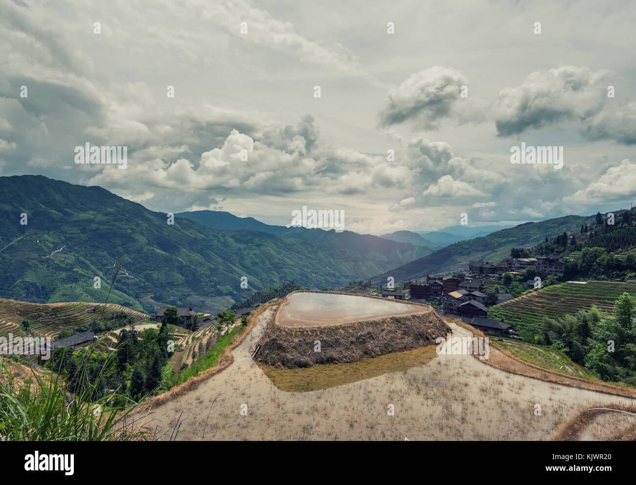 Longji terrazze di riso trova guilin Guangxi Zhuang regione autonoma di Guangxi aka provincia della Cina Foto Stock