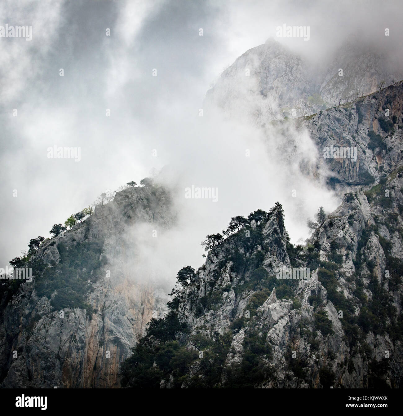 Basse nubi cancellazione dal Carso pinnacoli di calcare nella Gola di Cares in Picos de Europa nel nord della Spagna Foto Stock