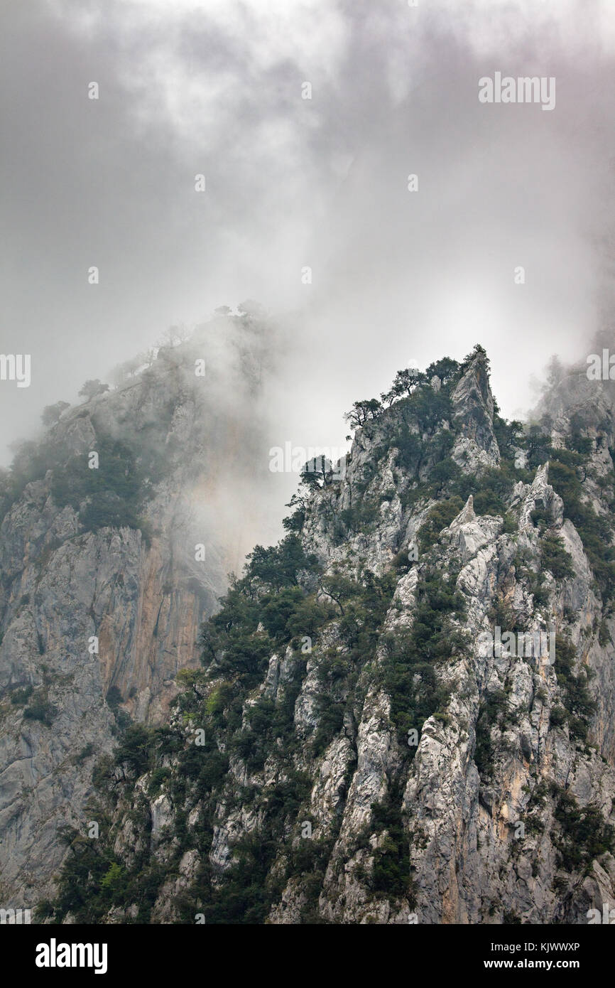 Basse nubi cancellazione dall ambiente carsico pinnacoli della Gola di Cares in Picos de Europa nel nord della Spagna Foto Stock