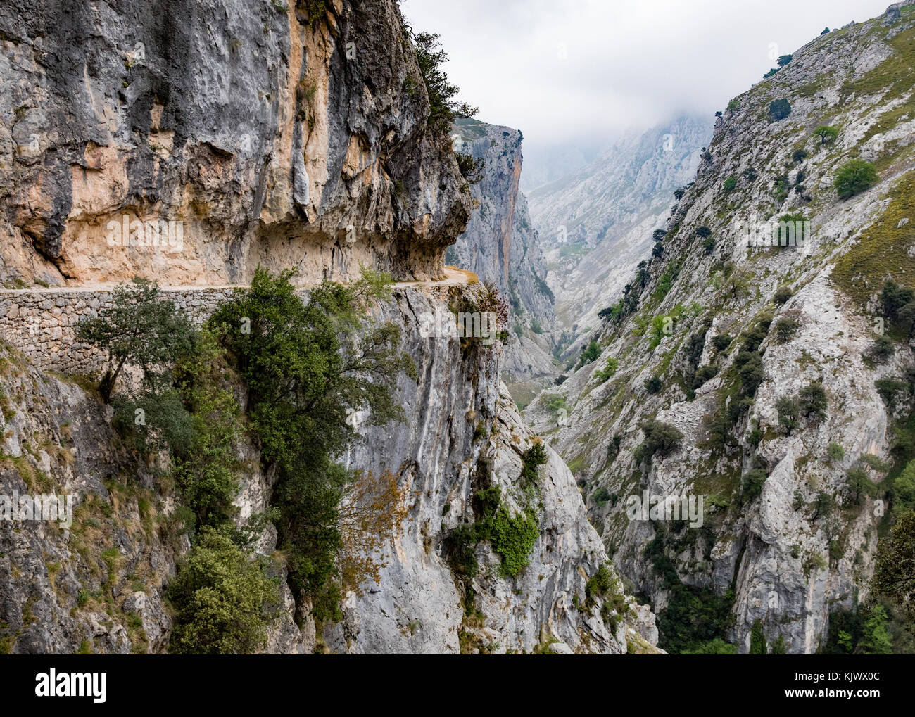 Livello alto sentiero intagliato nella roccia a strapiombo faccia della Gola di Cares una profonda e spettacolare canyon che corre attraverso il Picos de Europa nel nord della Spagna Foto Stock