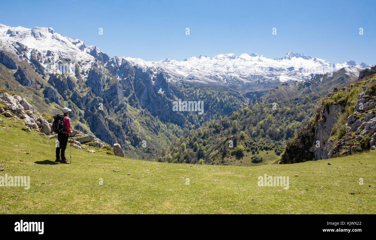 Vista della frastagliata Collau los Buitres dall'alto alp di Pandescura in Picos de Europa Mountains del nord della Spagna vicino Bobia Foto Stock