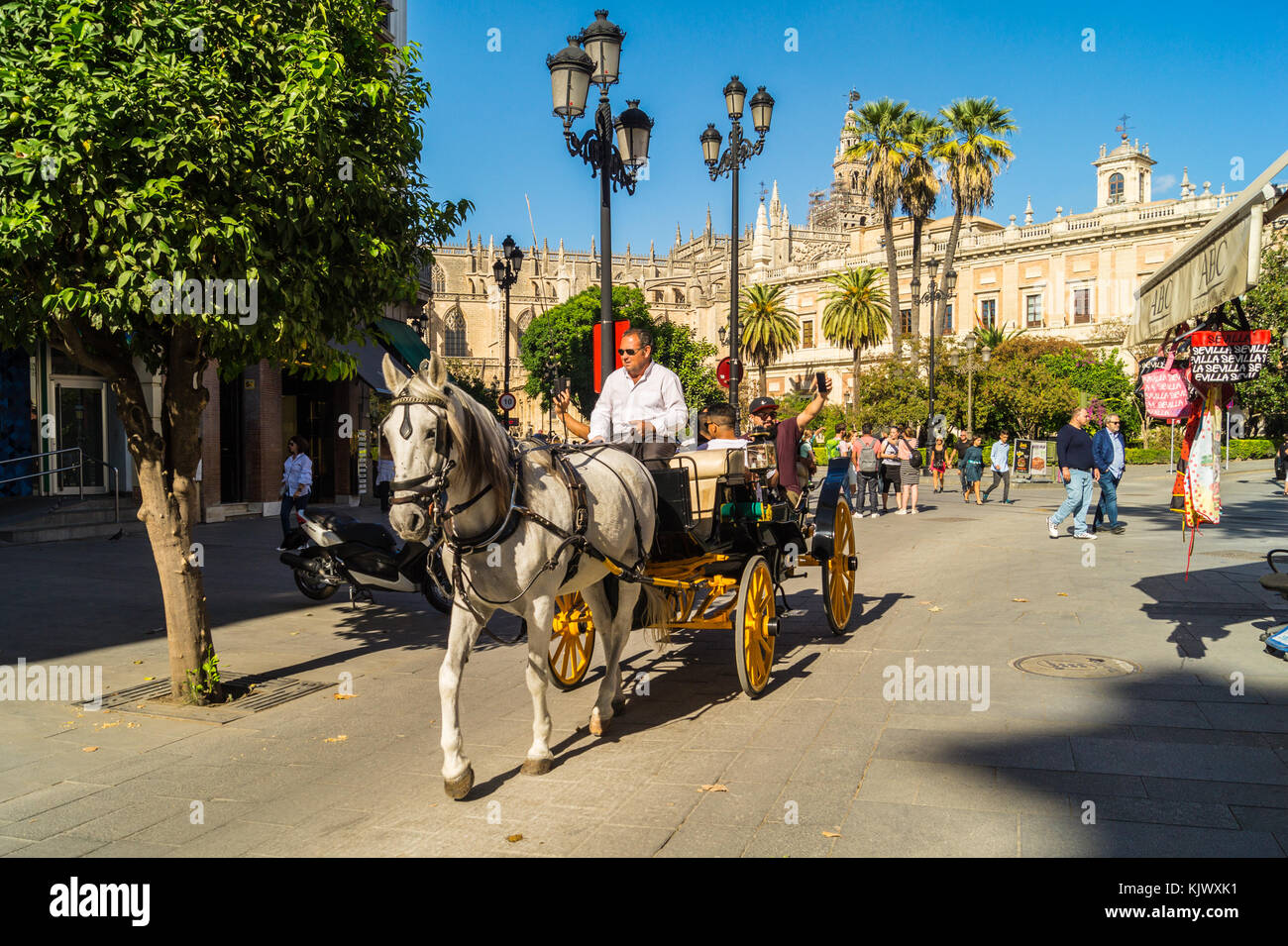 A cavallo il landau carrello con passeggeri per turismo dalla cattedrale ed archivio delle Indie, Siviglia, in Andalusia, Spagna Foto Stock