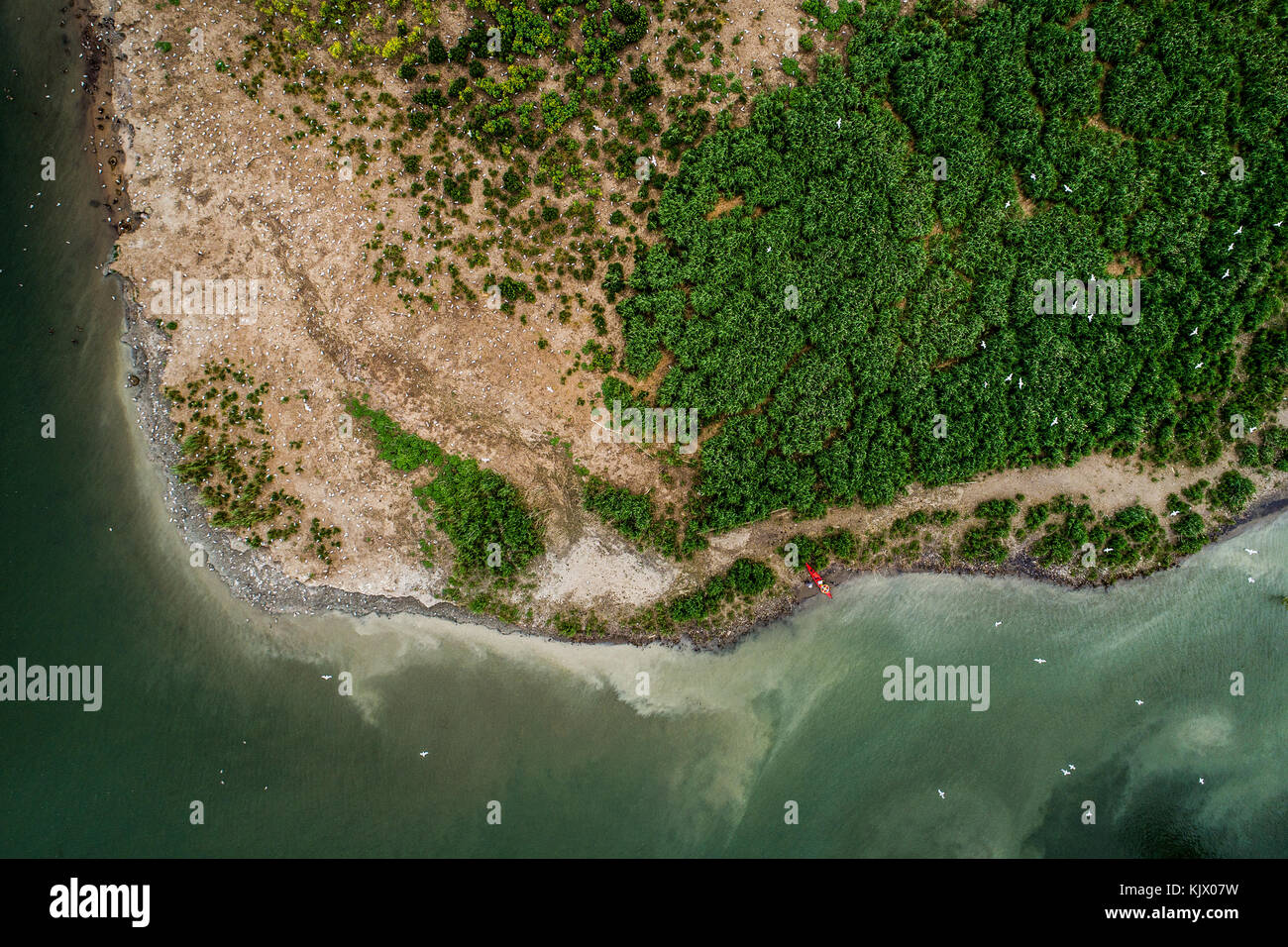 Vista aerea del litorale dell'isola sul Fiume St-Lawrence Foto Stock