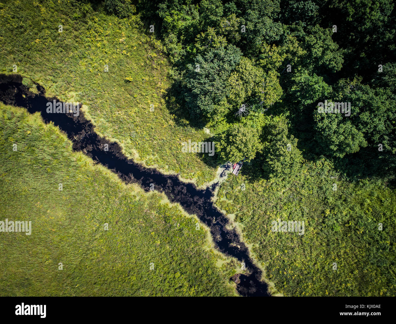 Vista aerea di isola e marsh sul Fiume St-Lawrence Foto Stock