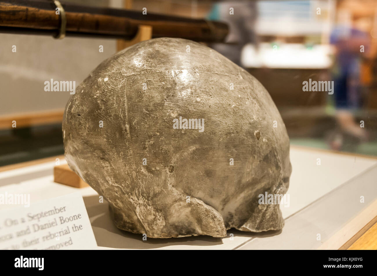 Calco in gesso del cranio di Daniel Boone esposta presso il Kentucky History Museum Foto Stock