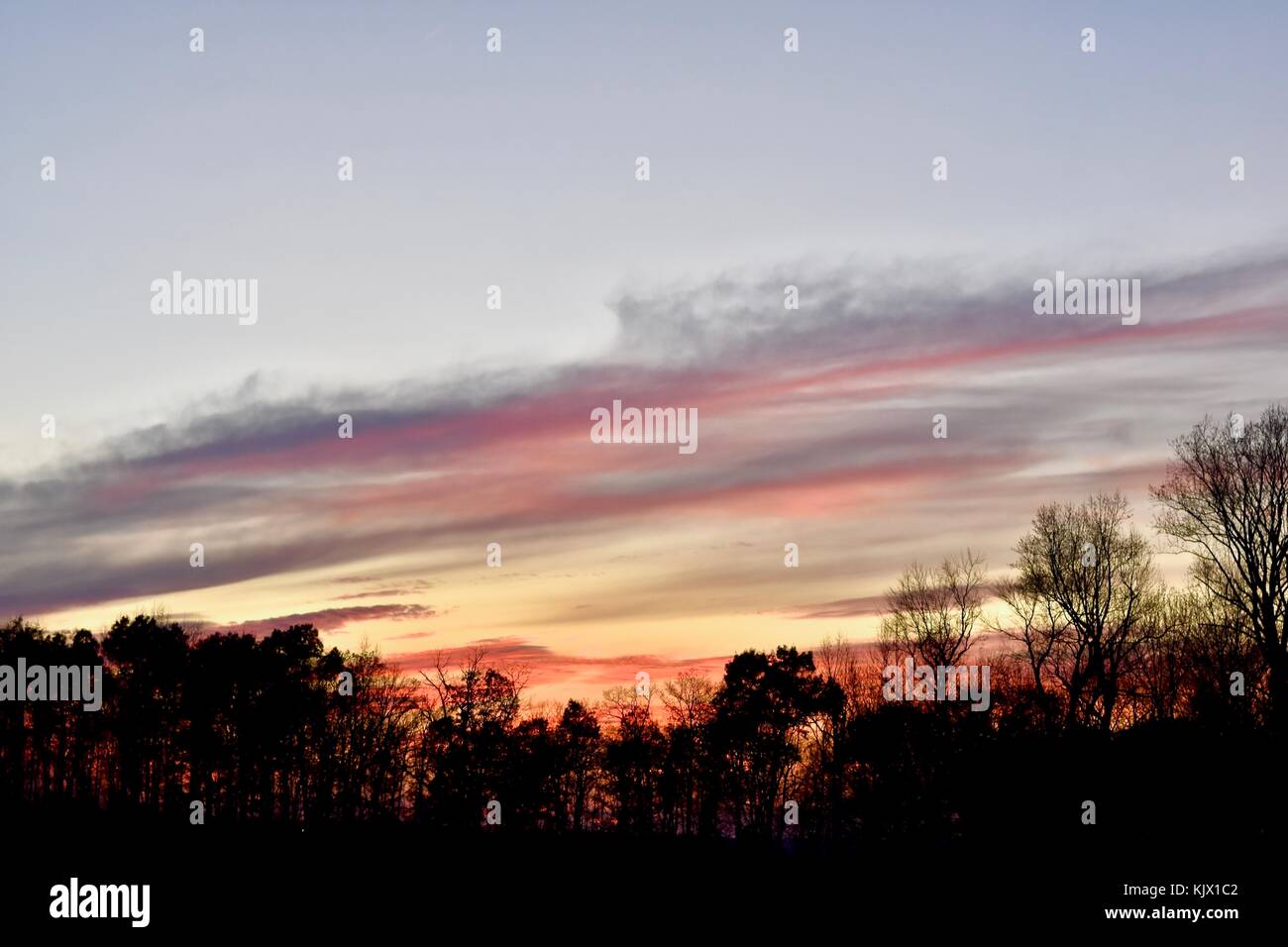 Tramonto mozzafiato su una foresta silhouette Foto Stock