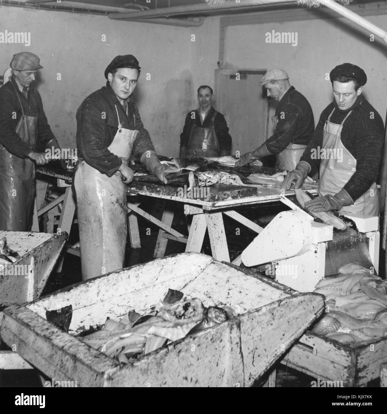 Kanstadsamlingen NMF010005 03404 Foto Stock