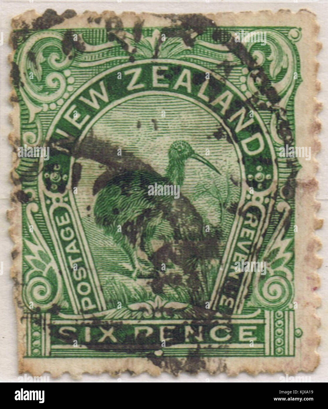 Un francobollo verde da 6 pence del 1898, raffigurante un uccello kiwi. Il francobollo fa parte della prima storia filatelica della nuova Zelanda, che mostra l'iconico uccello nativo e il suo ruolo nell'identità culturale del paese. Foto Stock