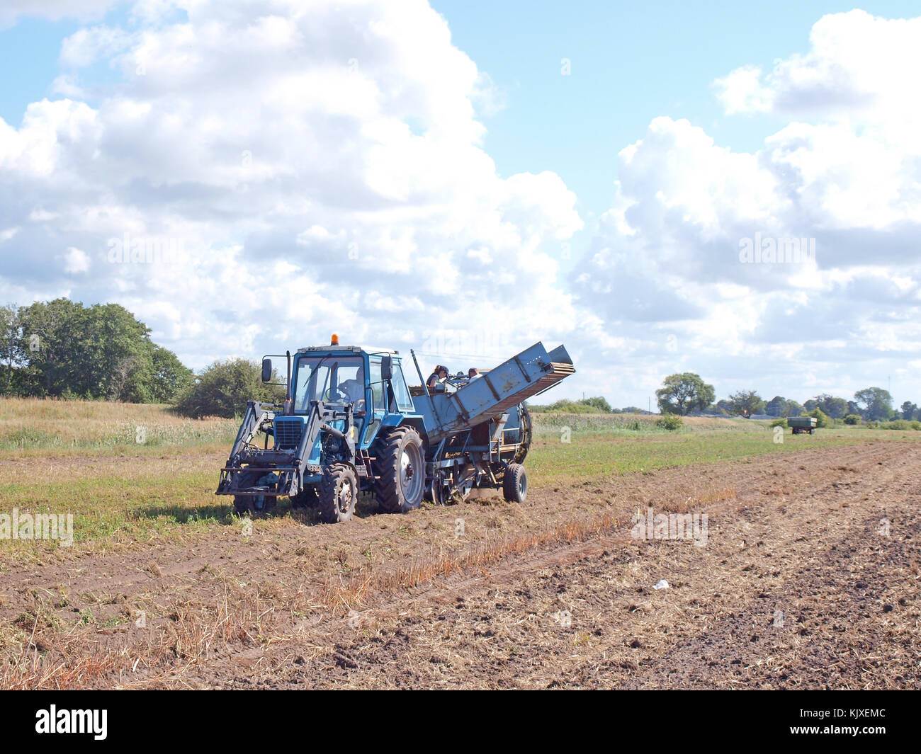 Nica, Lettonia - 29 agosto 2015: sul campo è lavorare il trattore alimentato un solco potato harvester. Foto Stock