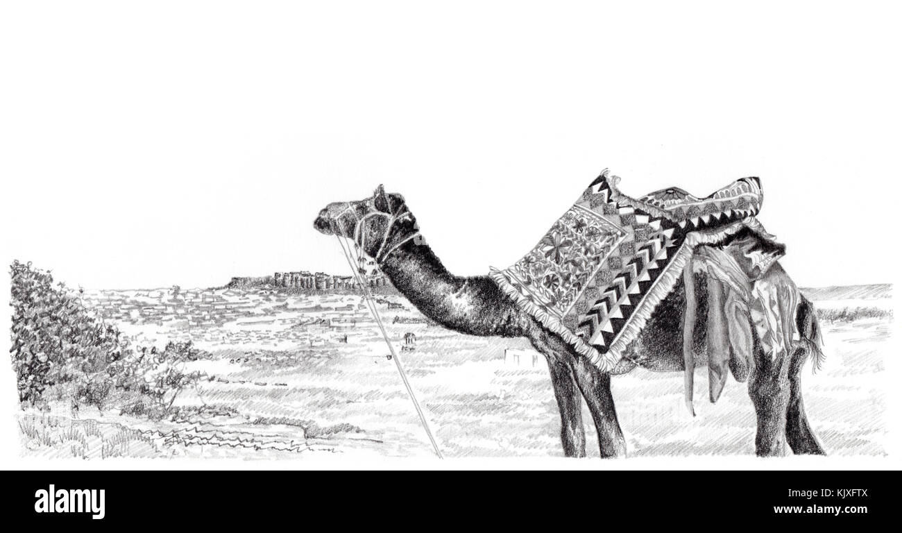 India Rajasthan, Jaisalmer, la città da chhatris, decorata con cammello, illustrazione a matita Foto Stock