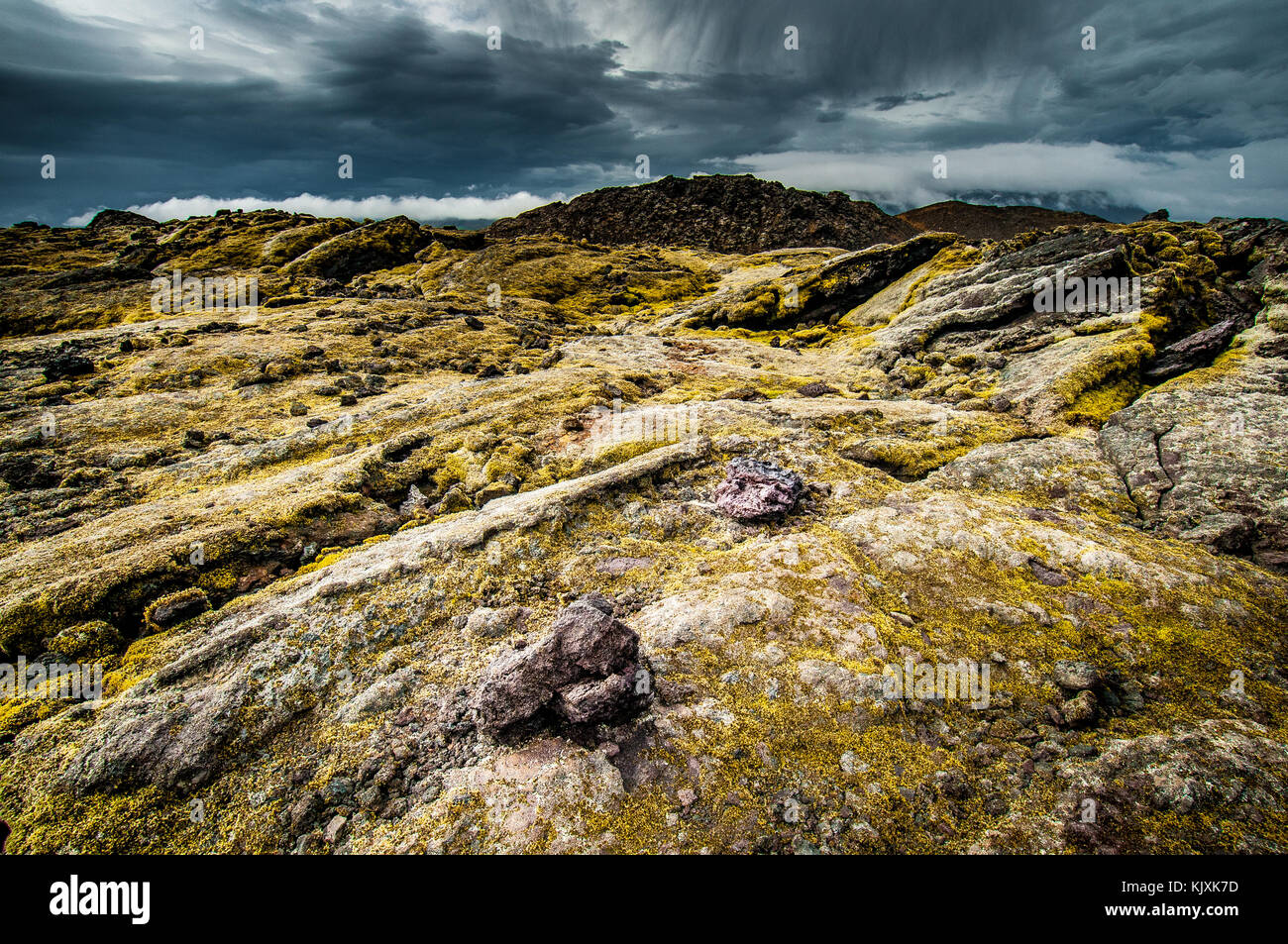 I licheni e le pietre colorate sulle antiche colate laviche del vulcano Krafla Foto Stock