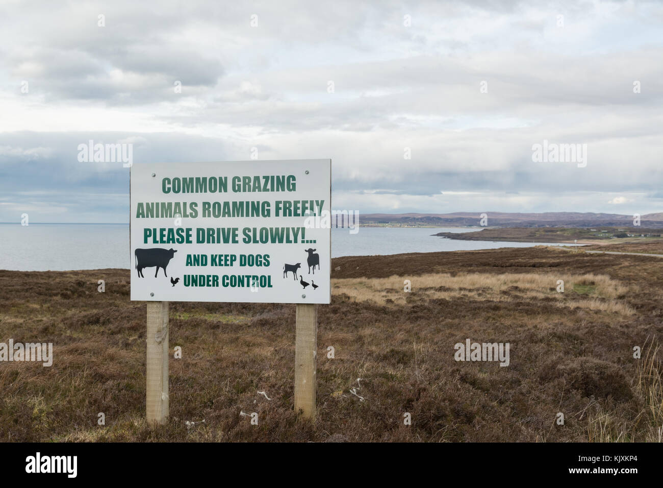 Segno comune di pascolo sull'isola di Skye, Scozia, Regno Unito Foto Stock
