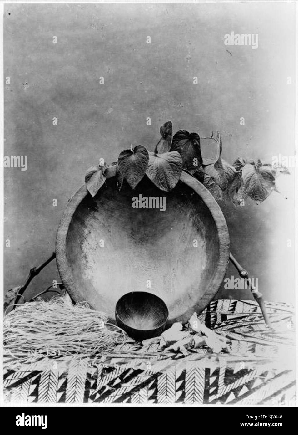 Ciotola di Kava e Samoa cup 1900 AJ Tattersall Foto Stock