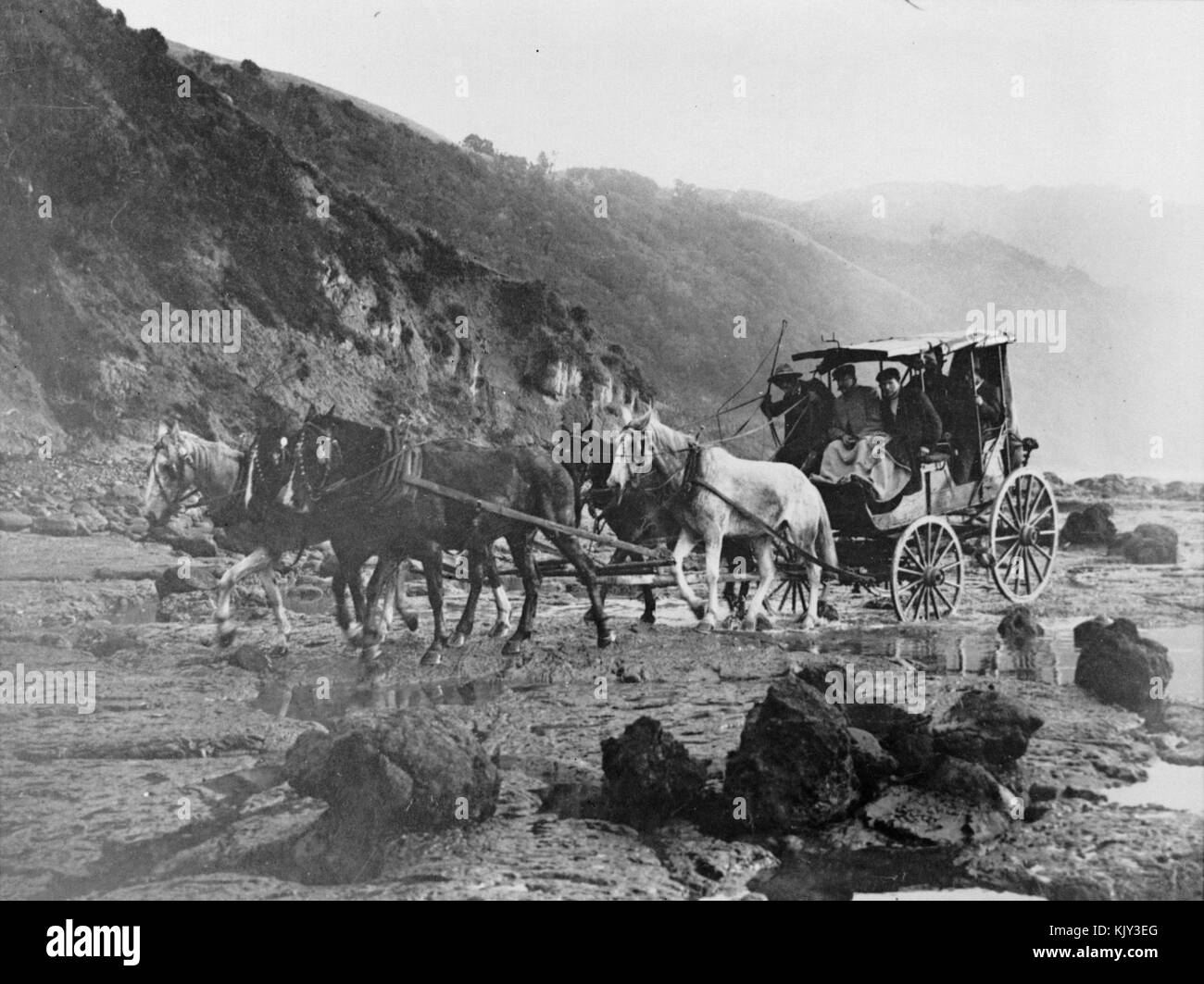 Cavallo e Carrozza, Tolaga Bay, Gisborne Regione, c. 1880 Foto Stock