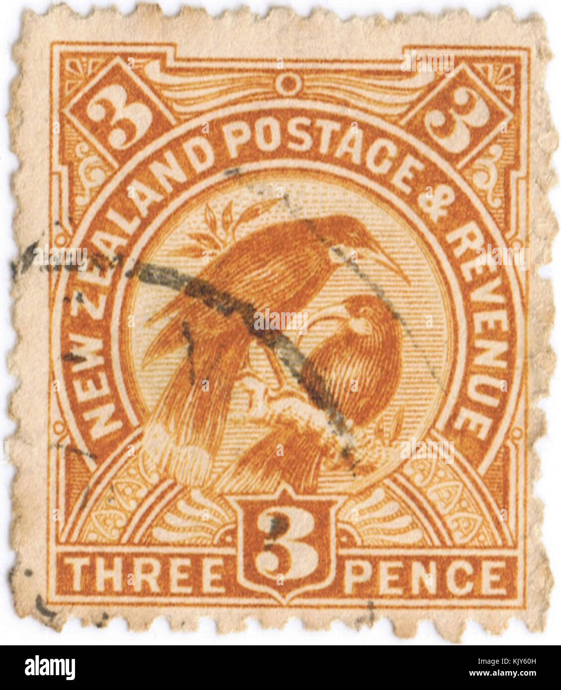 Un francobollo marrone da 1898 centesimi di Huia, un pezzo significativo della storia filatelica della nuova Zelanda, con l'uccello Huia e usato per la posta all'interno del paese durante la fine del XIX secolo. Foto Stock