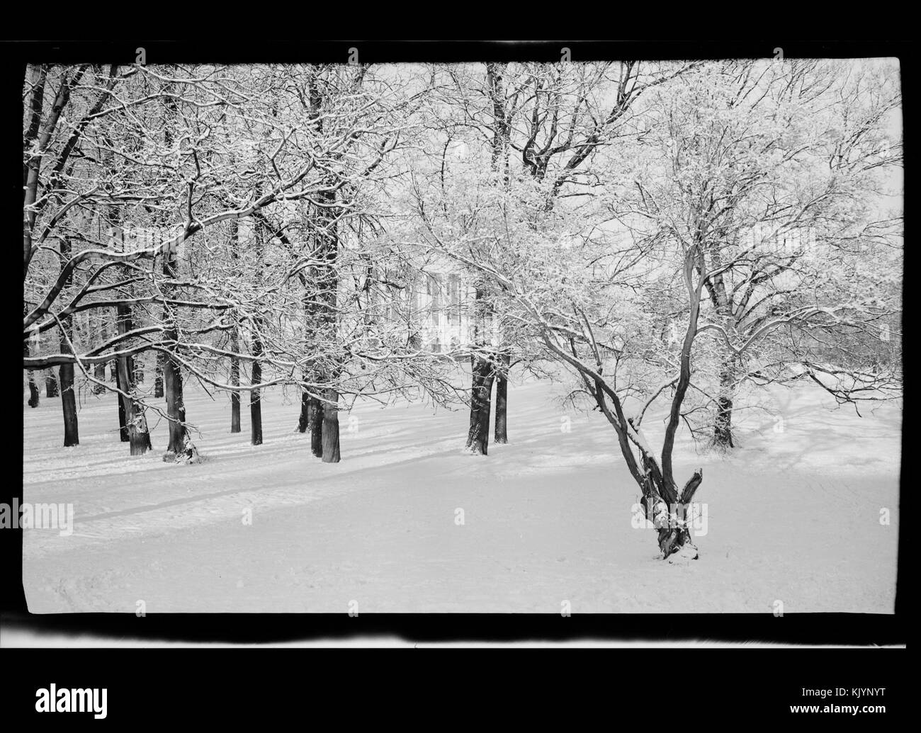 Slottsparken è un parco di Oslo, Norvegia, noto per la sua bellezza paesaggistica e il suo significato storico. L'immagine cattura l'atmosfera tranquilla del parco e i suoi paesaggi ben mantenuti. Foto Stock